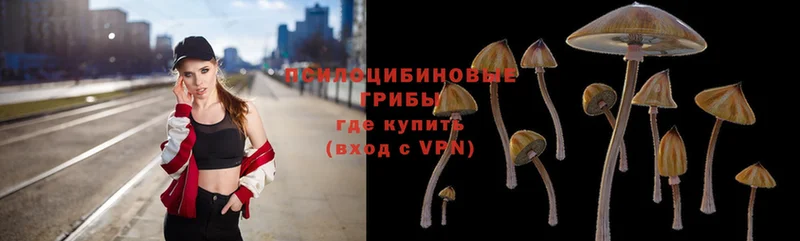 Галлюциногенные грибы MAGIC MUSHROOMS  цены   KRAKEN как войти  Жердевка 